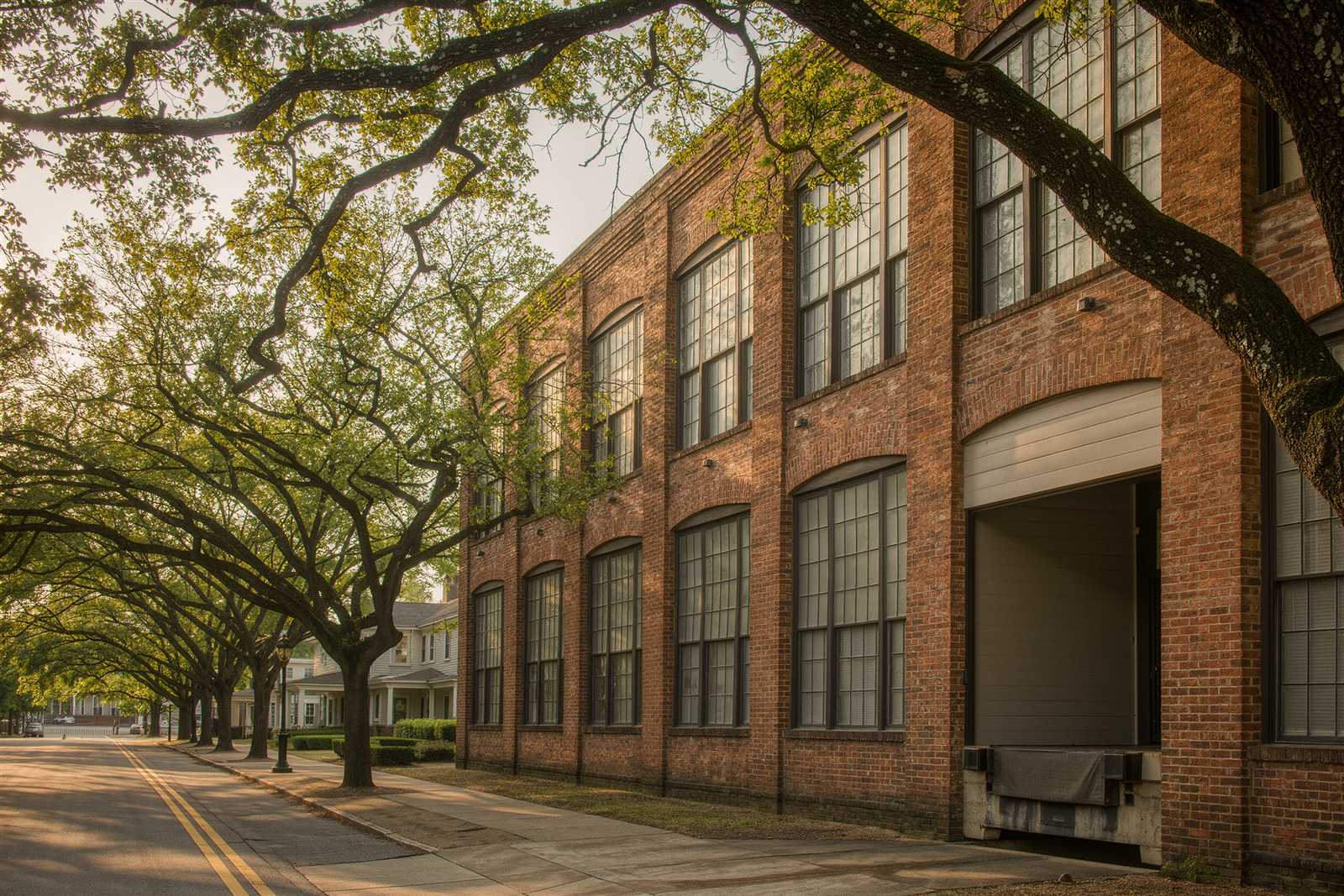 A brick warehouse frontage with industrial windows and a loading dock beside a sidewalk shaded by old oaks